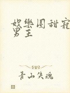 娱乐圈甜宠文双男主