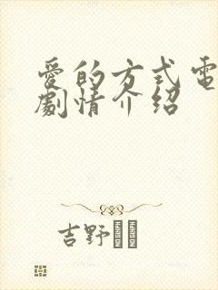 爱的方式电视剧剧情介绍
