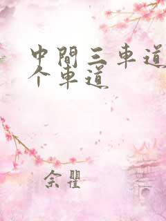 中间三车道是哪个车道