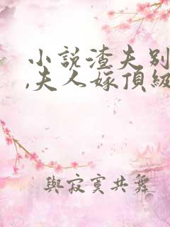 小说渣夫别跪了,夫人嫁顶级大佬显怀了