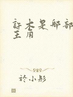 许木是哪部小说主角