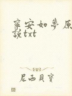 宁安如梦原著小说txt