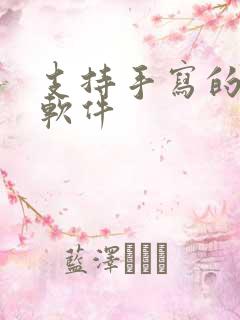 支持手写的笔记软件