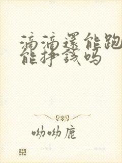 滴滴还能跑吗,能挣钱吗