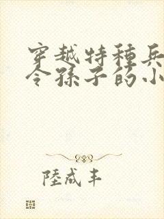 穿越特种兵成司令孙子的小说
