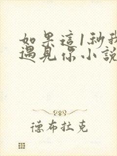 如果这1秒我没遇见你小说阅读