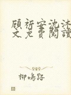 顾祈安沈沐婉全文免费阅读最新章节
