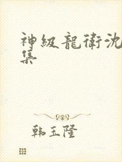 神级龙卫沈浪全集