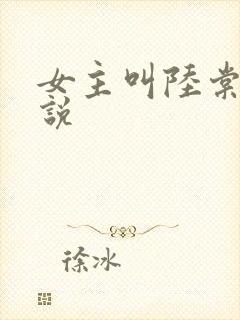 女主叫陆棠的小说