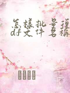 怎样批量复制pdf文件名称