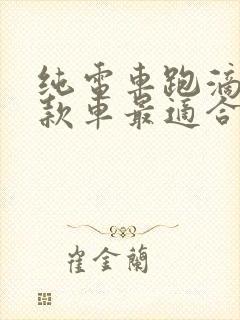 纯电车跑滴滴哪款车最适合