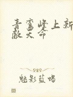 青鸾峰上新书无敌天命