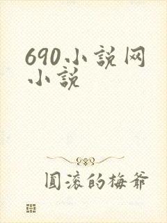 690小说网 小说