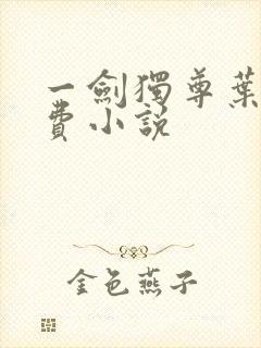 一剑独尊叶玄免费小说