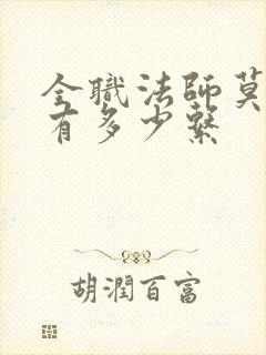 全职法师莫凡拥有多少系