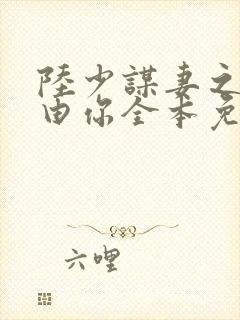 陆少谋妻之婚不由你全本免费阅读