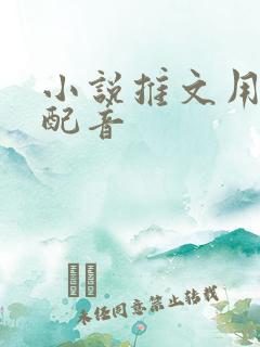 小说推文用什么配音