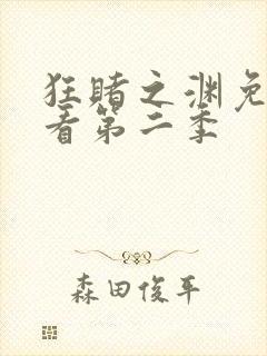 狂赌之渊免费观看第二季