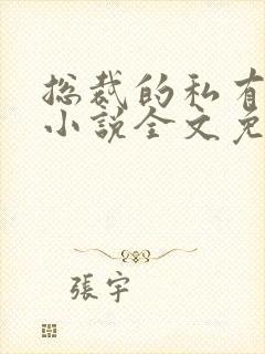 总裁的私有宝贝小说全文免费阅读