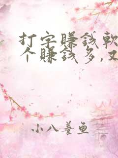 打字赚钱软件哪个赚钱多,又安全