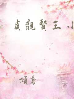贞观贤王 小说