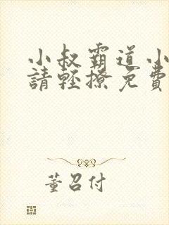 小叔霸道小叔 请轻撩免费漫画