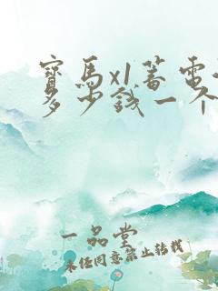 宝马x1蓄电池多少钱一个