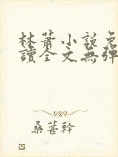 林萧小说免费阅读全文无弹窗