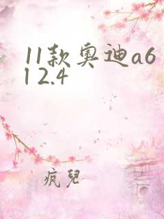 11款奥迪a6l 2.4