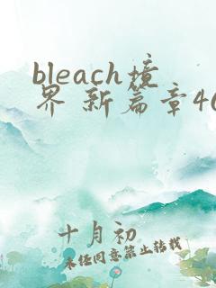 bleach境界 新篇章46集免费观看