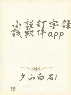 小说打字录入赚钱软件app