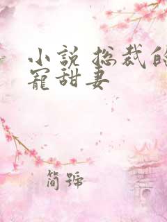 小说 总裁的独宠甜妻