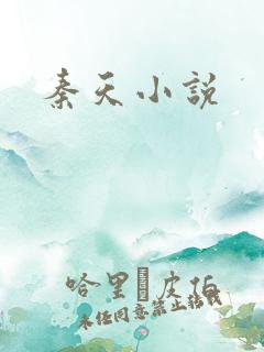 秦天小说
