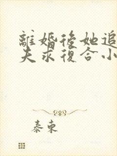 离婚后她追着前夫求复合小说云晚晚