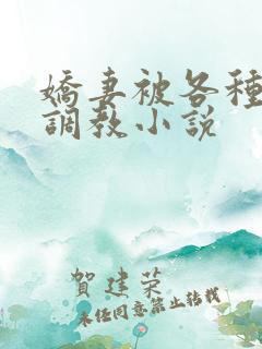 娇妻被各种姿势调教小说