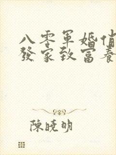 八零军婚俏军嫂发家致富养崽崽