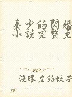 秦少的闪婚娇妻小说完整免费