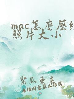 mac怎么压缩照片大小