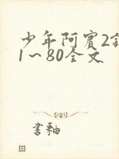 少年阿宾2钰慧1～80全文