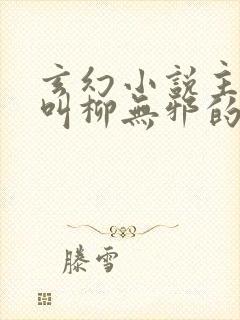 玄幻小说主人公叫柳无邪的小说