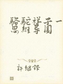 骆驼祥子一生的思维导图