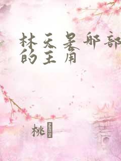 林天是哪部小说的主角