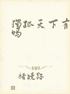 独孤天下有小说吗