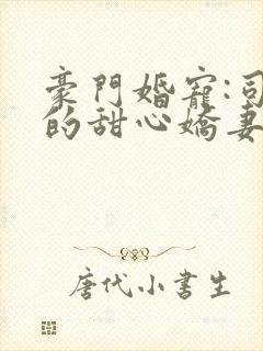 豪门婚宠:司少的甜心娇妻 空陌雨