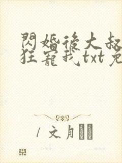 闪婚后大叔每天狂宠我txt免费