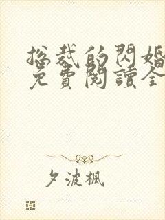 总裁的闪婚甜妻免费阅读全文