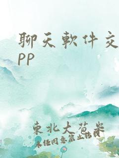 聊天软件交友app