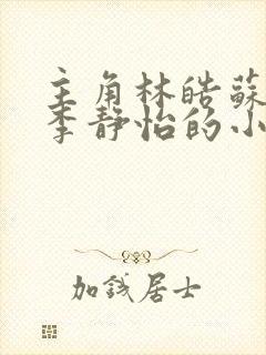 主角林皓苏沐云李静怡的小说