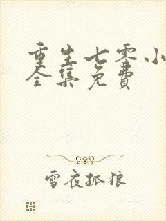 重生七零小辣媳全集免费