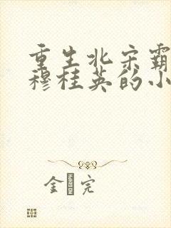 重生北宋霸占了穆桂英的小说